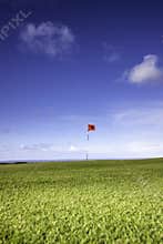 Single golf flag