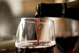 Wine