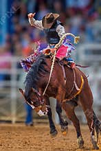 Mystery cowboy bucks on wild mustang in Florida Rodeo