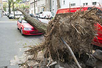 Hurricane damaged car