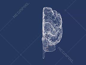 Brain degenerative diseases, Parkinson, synapses, neurons,