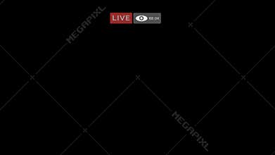 Facebook live screen interface
