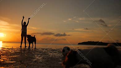 Young Carefree Girl Playing with Dogs at the Beach During Amazing Sunset. Koh Phangan, Thailand. HD Slowmotion.