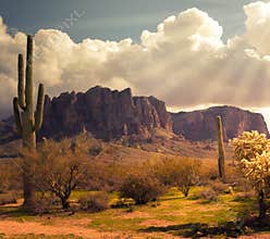 Arizona desert wild west landscape