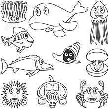 Coloring Marine Animals [2]