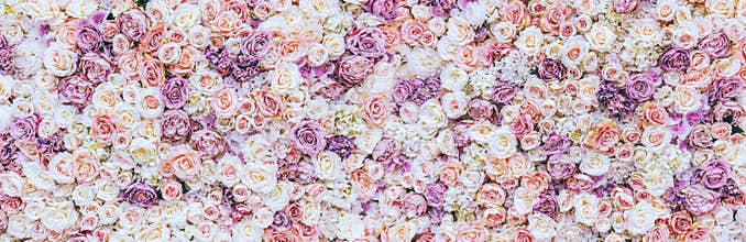 Flowers wall background with amazing red and white roses, Wedding decoration, hand made