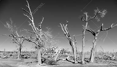 Black & White After the Storm