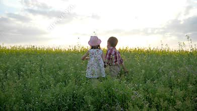 Cute little Girl and boy Walking holding hands, Children at Field with flowers, Kid Play in Green Park, family nature at
