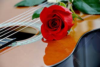 Classical guitar and rose.