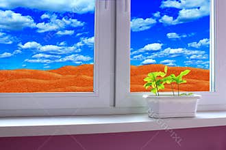 Young plants in the flower pot on the window-sill and view to the desert and cloudy sky