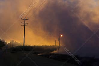 Smoke from burning crop stubble