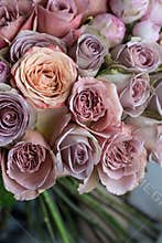 Beautiful pink, violet and peach roses wedding bouquet closeup macro