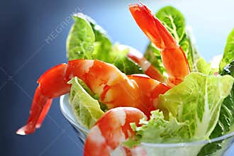 Shrimp Cocktail
