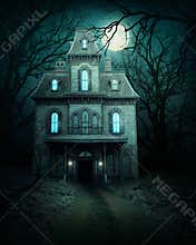 Haunted house in forest