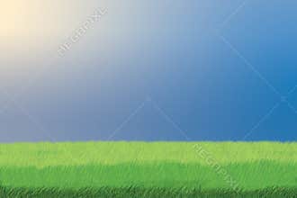 Grass and sky