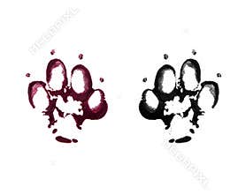 Animal footprints on white