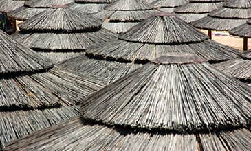 Straw Beach Canopies Pattern