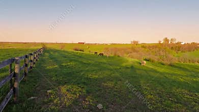 Bluegrass horse farm