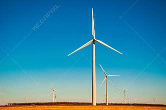 Amarillo Sunshine Wind Farm West Texas