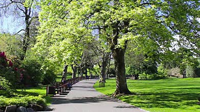 Beautiful Botanic Garden in Glasgow, UK, footage