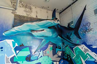 Graffiti art off Brunswick Street in Fitzroy, Melbourne