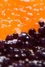 Red and Black Caviar background