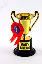 Dad Trophy Cup