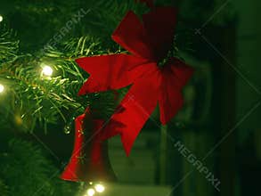 Christmas Day