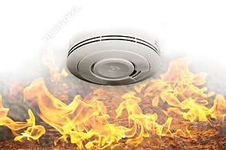 Smoke sensor and fire alarm