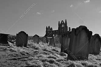 Whitby graves