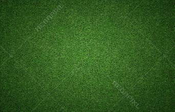 Grass Background Texture