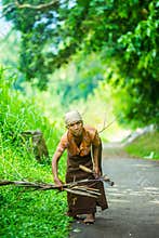 Indonesian old woman looking for dried wood for cooking