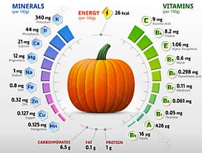 Vitamins and minerals of pumpkin