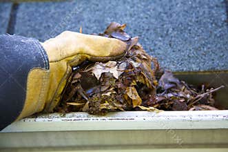 Fall Cleanup - Leaves in Gutter