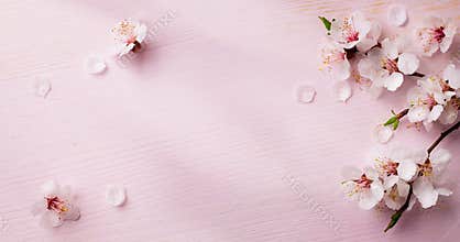Art spring flowers background