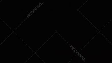 SLOW: Cashew fly up and fall