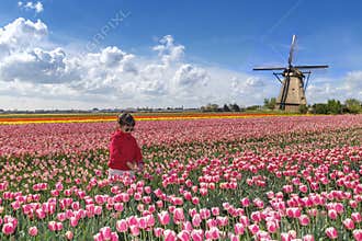 Asian farmer in a tulips farm