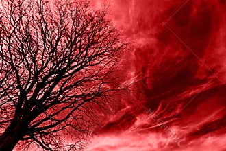 Tree Over Blood