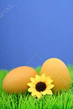 Easter eggs