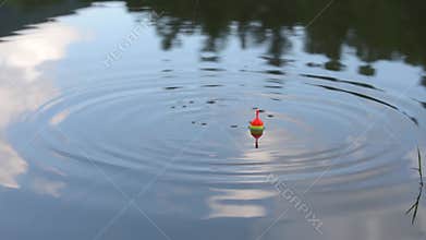 Fishing with swimmer
