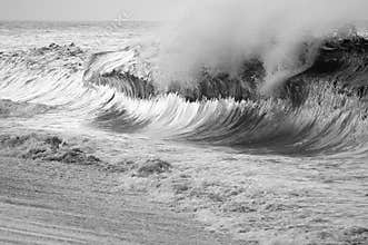 Ocean Wave Curves