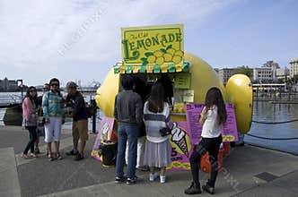 Lemonade stand