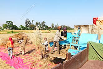 Farmers and Field