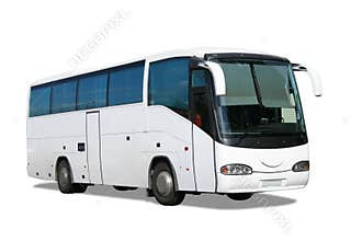 White bus