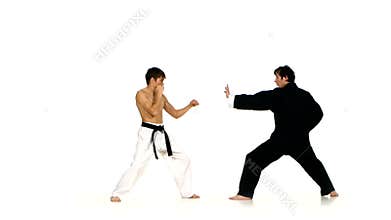 Sparrynh taekwondo and karate man on a white