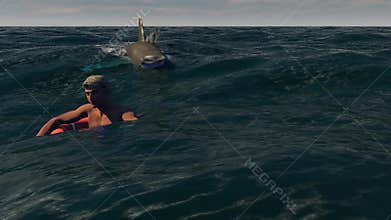 The person and shark