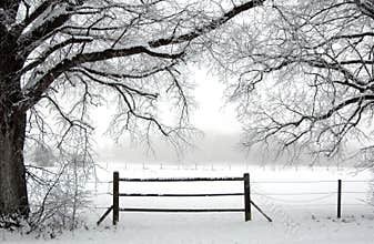 in wintertime