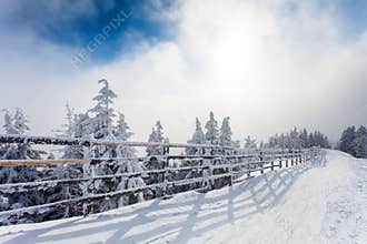 Winter trees and wooden fence covered in snow that borders a mountain road