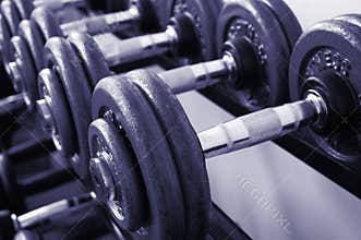 Gym Weights