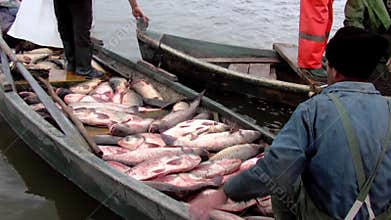 Traditional fishing